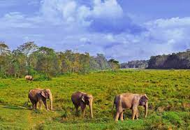 se-joindre-a-un-groupe-chitwanpark1-nepal-11jours